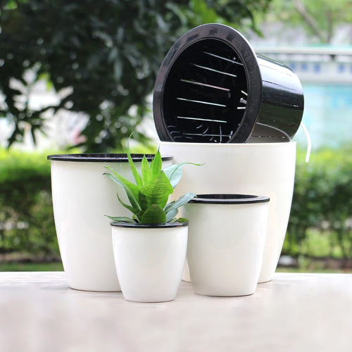 jardinière auto-arrosante moderne pour plantes succulentes et orchidées