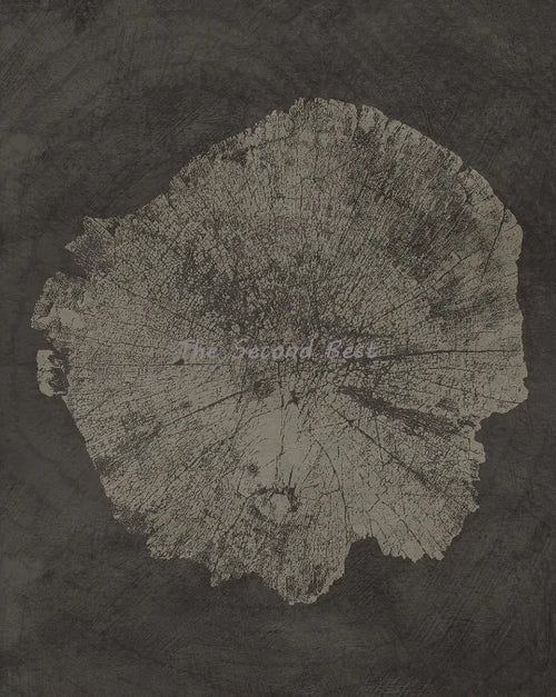 art abstrait sur anneaux d'arbres décoration murale moderne