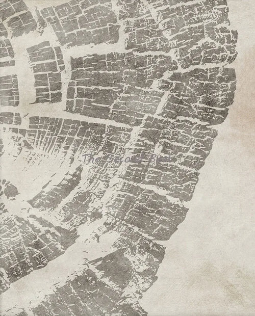 affiches abstraites sur les anneaux des arbres pour décoration