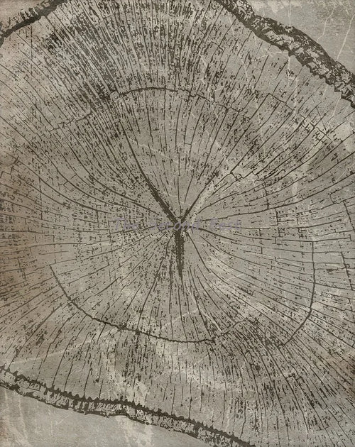 affiches abstraites sur les anneaux des arbres pour décoration