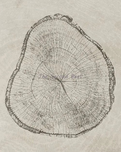 art abstrait sur anneaux d'arbres pour décoration intérieure