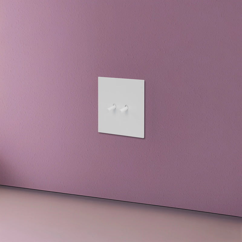 Prise électrique (Europe) en acier blanc mat