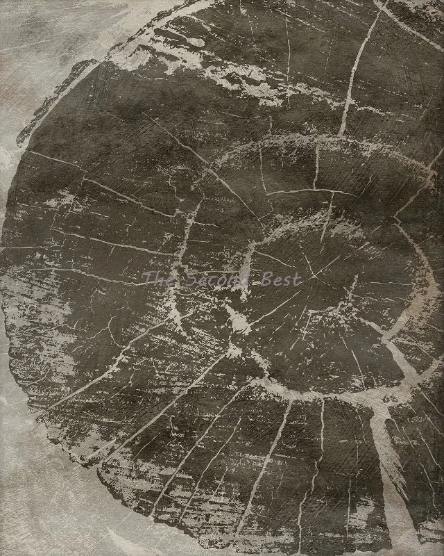 affiches abstraites sur les anneaux des arbres décorations murales artistiques