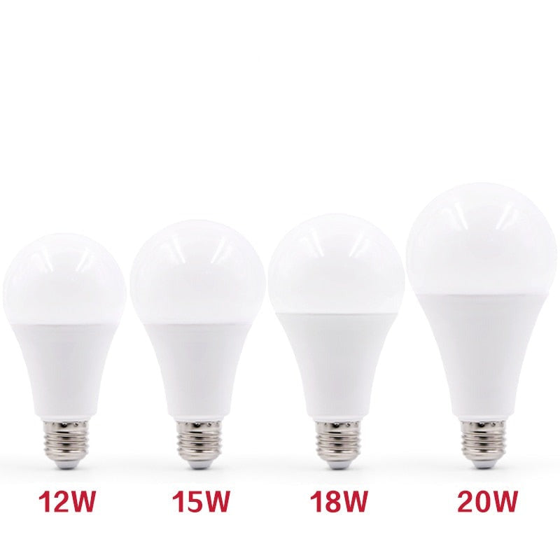 Ampoule E27 à LED (de 3 à 20W)