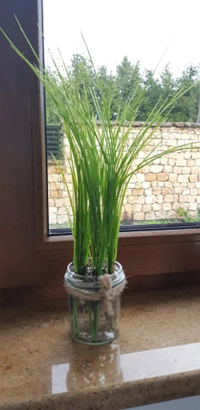 plantes artificielles pour décoration intérieure et jardin - vue 8 sur 9