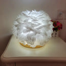 Lampe de Table en plumes roses et blanches naturelles