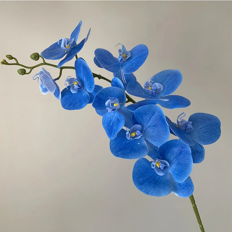 orchidée phalaenopsis préservée fleurs artificielles pour décoration mariage - vue 11 sur 17
