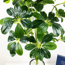plantes tropicales artificielles monstera feuillage décoratif pour intérieur extérieur