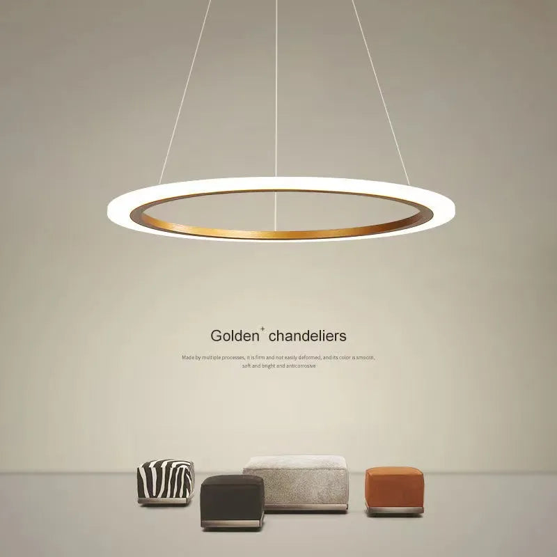 Lustre anneau LED salon minimaliste - vue 2 sur 9