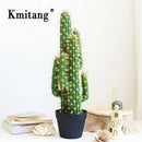 plantes tropicales cactus artificiel décoration intérieure succulente en plastique