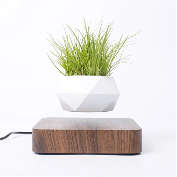 pot de bonsaï à lévitation magnétique pour décoration spéciale - vue 10 sur 10