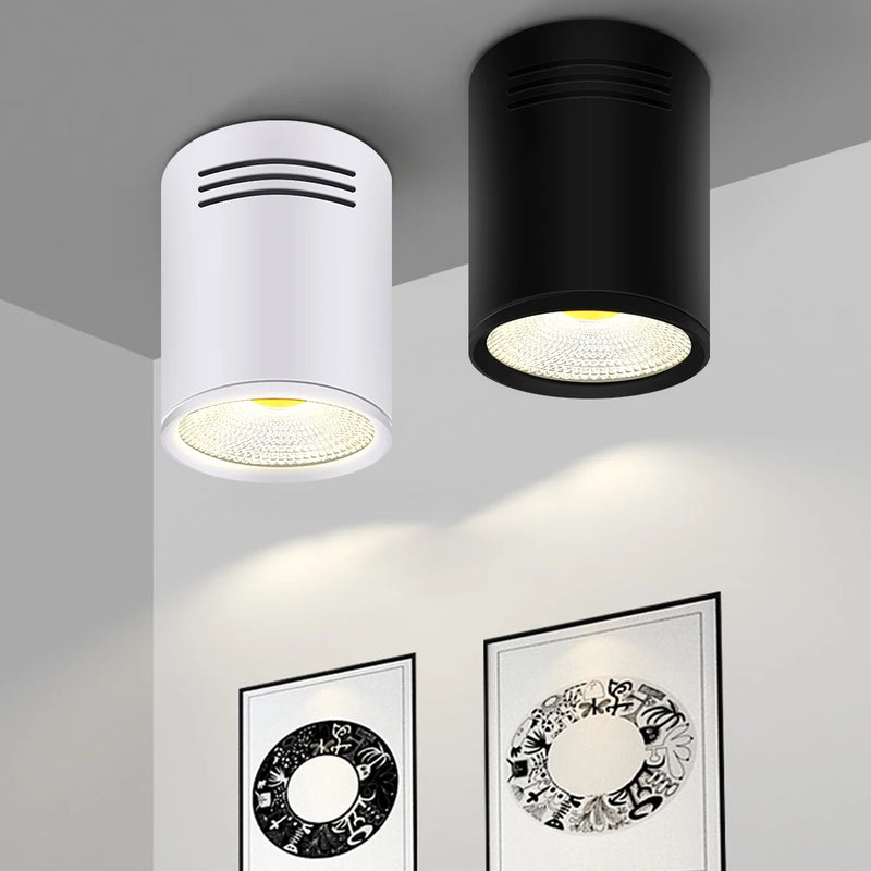 Spot Dimmable LED COB monté en Surface Downlight 3W/5W/7W/10W/12W/15W blanc/noir boîtier