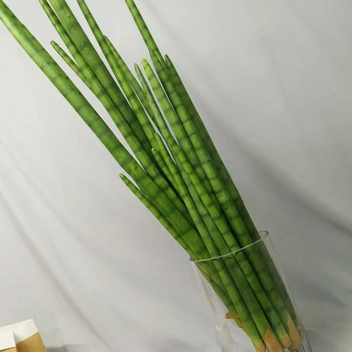 cactus artificiel cylindrique en plastique pour décoration intérieure et extérieure - vue 6 sur 9