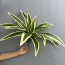 agave artificiel 15 feuilles décoration florale pour intérieur