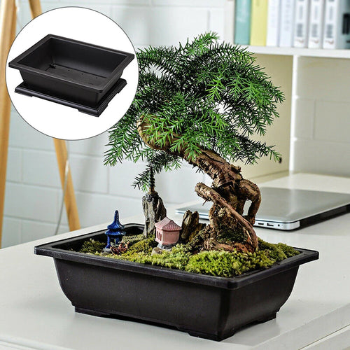 pot de fleurs rectangulaire en plastique pour bonsaï et jardin - vue 2 sur 6