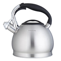 Bouilloire sifflet acier inoxydable grande capacité 3l