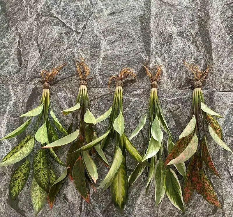 plantes artificielles en plastique avec racines pour décoration de mariage - vue 4 sur 7