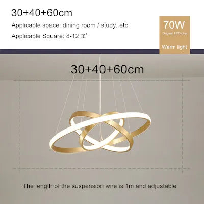 lustre moderne style nordique avec télécommande et anneau lumineux - vue 13 sur 30