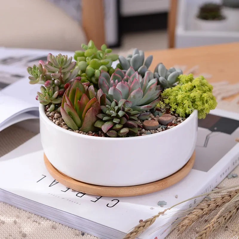 pot en céramique pour plantes succulentes avec plateau en bambou - vue 4 sur 7