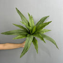 agave artificiel 15 feuilles décoration florale pour intérieur