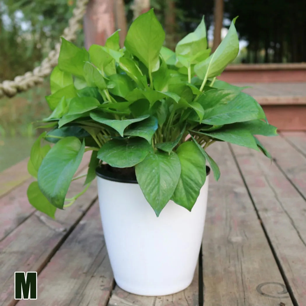 pot de fleurs automatique en plastique effet porcelaine - vue 12 sur 12