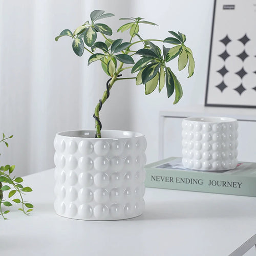 pots en céramique pour plantes succulentes style européen intérieur