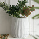 pots de fleurs nordiques design moderne pour jardin et cour