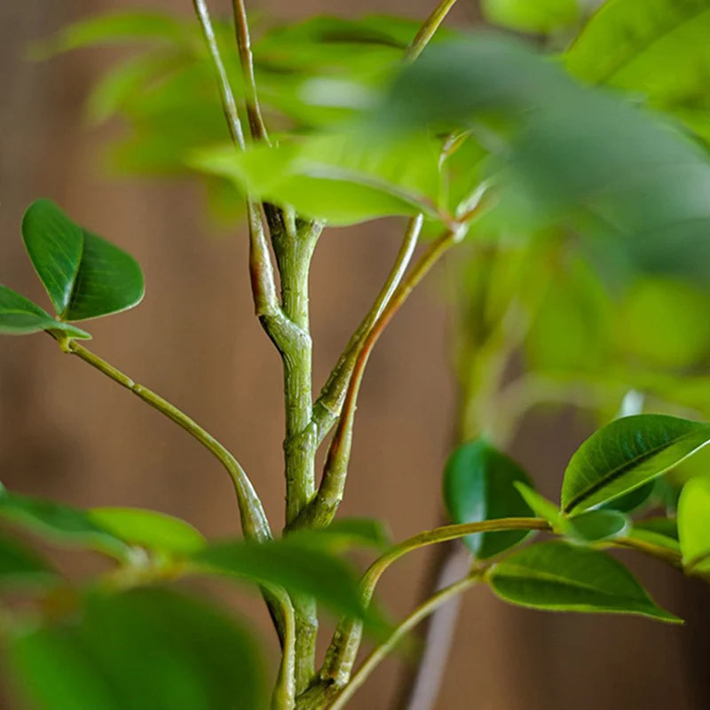 plantes artificielles grandes pour décoration intérieure et extérieure - vue 4 sur 6