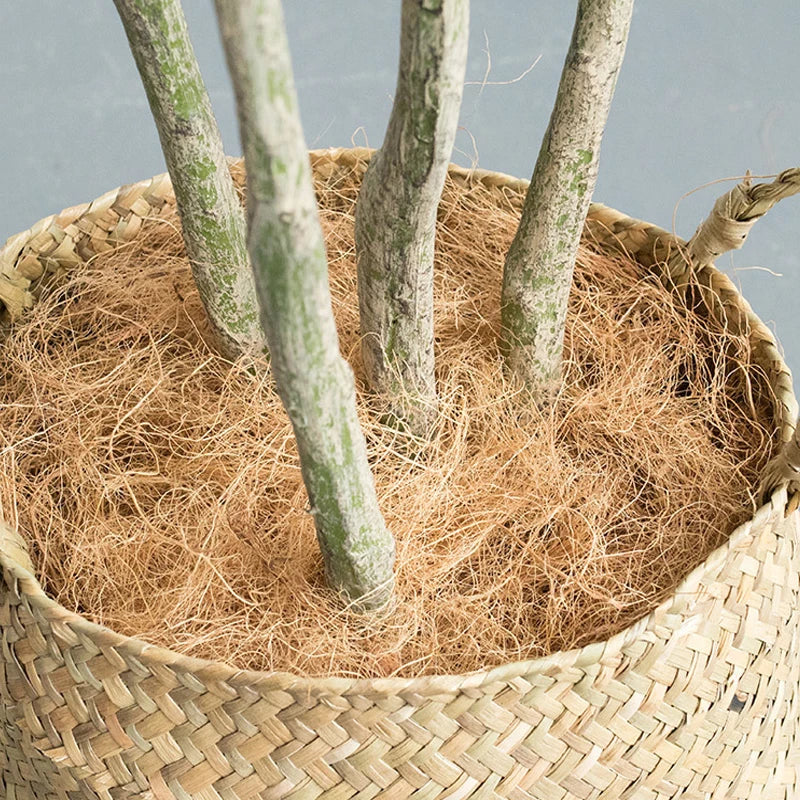 plantes artificielles dracaena pour décoration intérieure tropicale - vue 14 sur 20