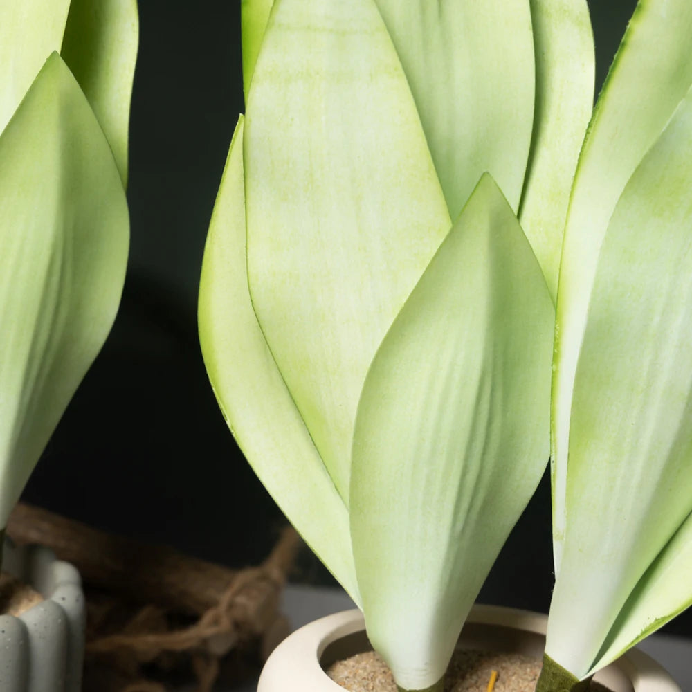 plantes succulentes artificielles décoratives pour intérieur et extérieur - vue 5 sur 7