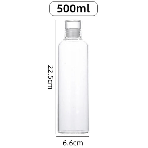 Bouteille eau verre infuseur the grande capacite sport