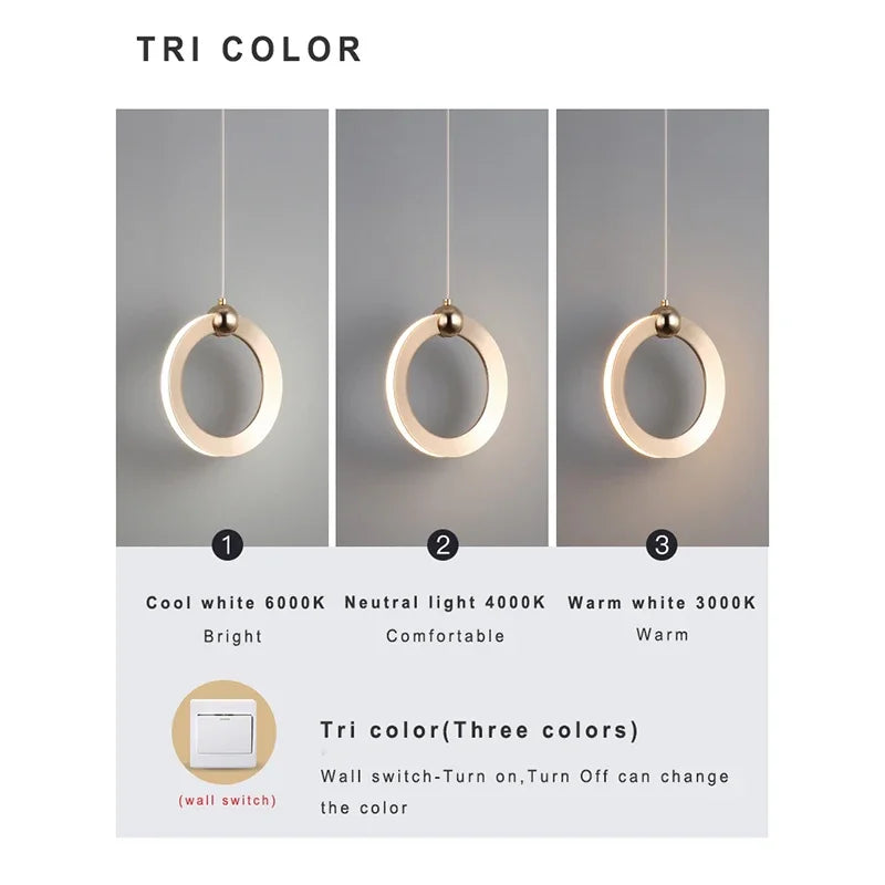 Lamp Modern LED Pendant Light Fixtures, Ring Pendant Lighting For Bedroom Bathroom Living Room, Small Hanging Pendant Light - vue 4 sur 10