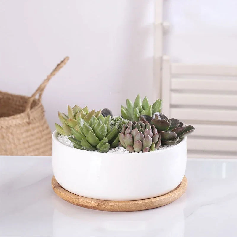 pot en céramique pour plantes succulentes avec plateau en bambou - vue 5 sur 7