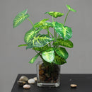 plante bonsaï artificielle en pot pour décoration intérieure
