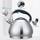Bouilloire sifflet acier inoxydable grande capacité 3l