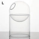 mini vase rond en verre pour décoration hydroponique écologique