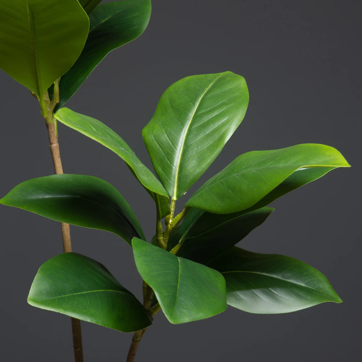 grandes plantes artificielles magnolia pour décoration jardin intérieur - vue 3 sur 7