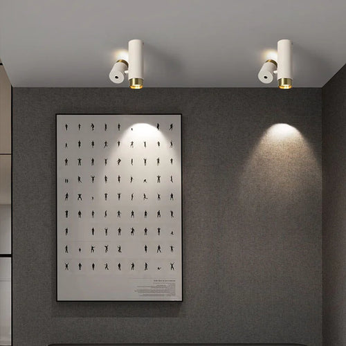 plafonnier led rotatif décoration atmosphère deux leds