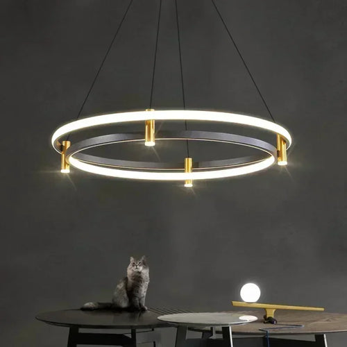 lustre moderne en anneau avec éclairage led décoratif - vue 2 sur 11