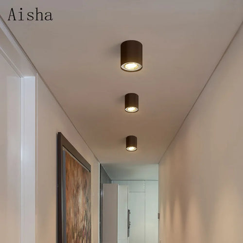 plafonnier double tête pour éclairage intérieur et extérieur - vue 3 sur 13
