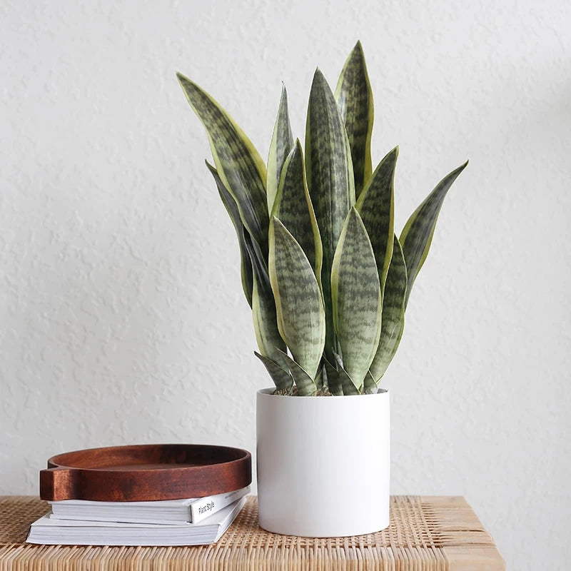 plantes artificielles succulentes aloe vera pour décoration intérieure extérieure - vue 10 sur 16