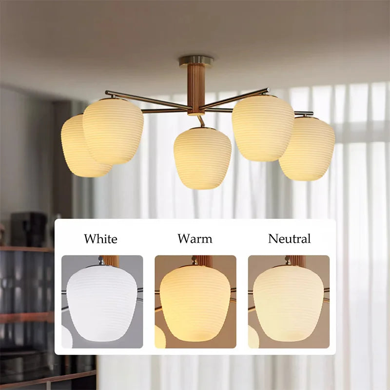Walnut Wood Brass Fruit Glass, Wabi-sabi Modern Simple style, Chandelier light for Living room, Bedroom, Dining room, Study - vue 5 sur 12