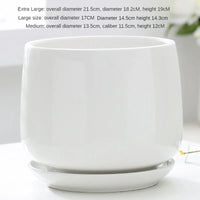 pot de fleurs en céramique créatif pour décoration intérieure et extérieure