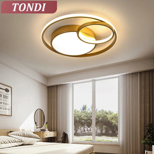 Plafond moderne à LEDs lumière salon chambre salle à manger plafonnier éclairage intérieur Dimmable décoratif maison lampes lumineuses - vue 2 sur 12
