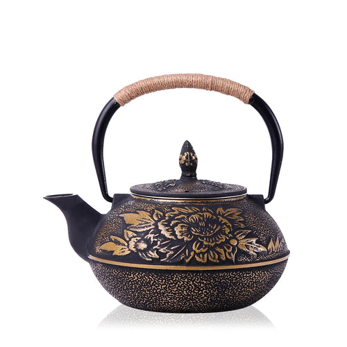 Théière japonaise en fonte avec infuseur filtre maille