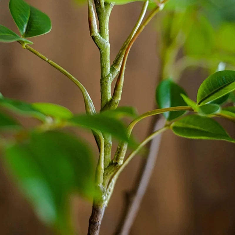 plantes artificielles pour décoration intérieure et extérieure - vue 5 sur 10
