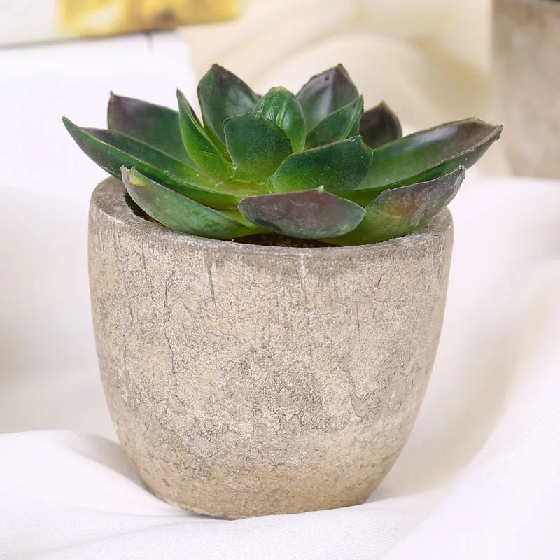 plantes succulentes artificielles pour décoration intérieure moderne - vue 12 sur 13