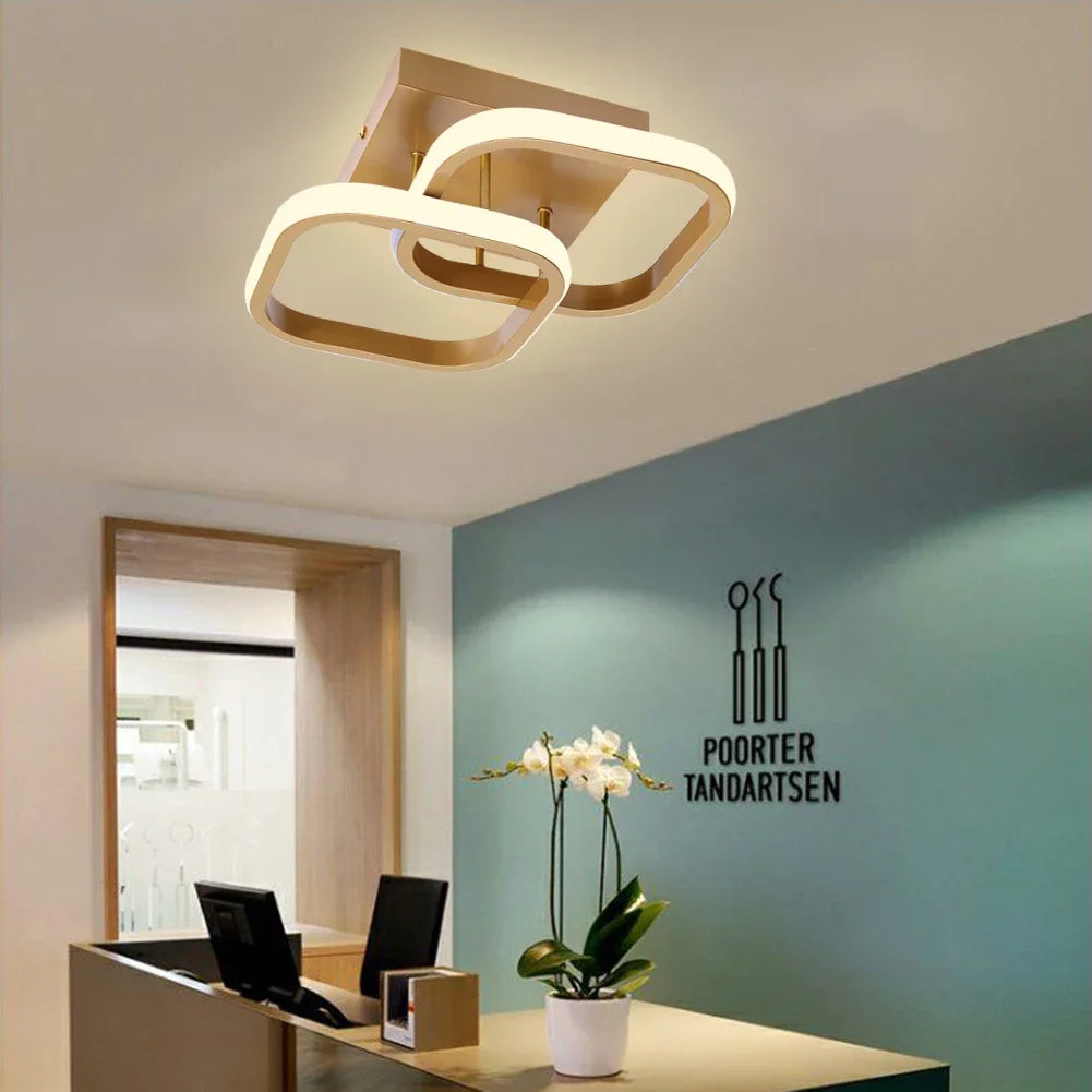 Plafonnier en métal lustre moderne haute luminosité porche lampe d'entrée lampe de plafond à économie d'énergie pour salon chambre