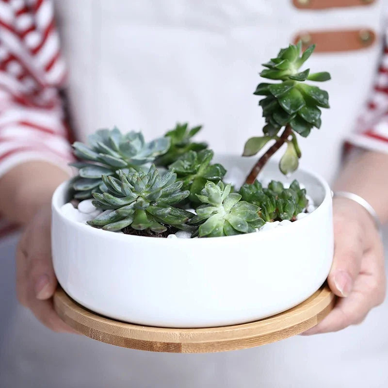 pot en céramique pour plantes succulentes avec plateau en bambou - vue 2 sur 7