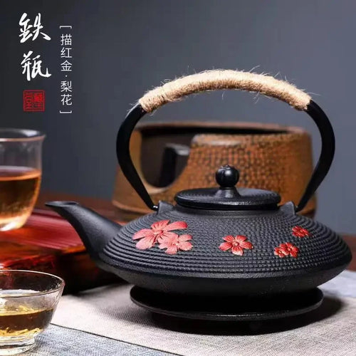 Théière japonaise en fonte avec infuseur maille 750ml